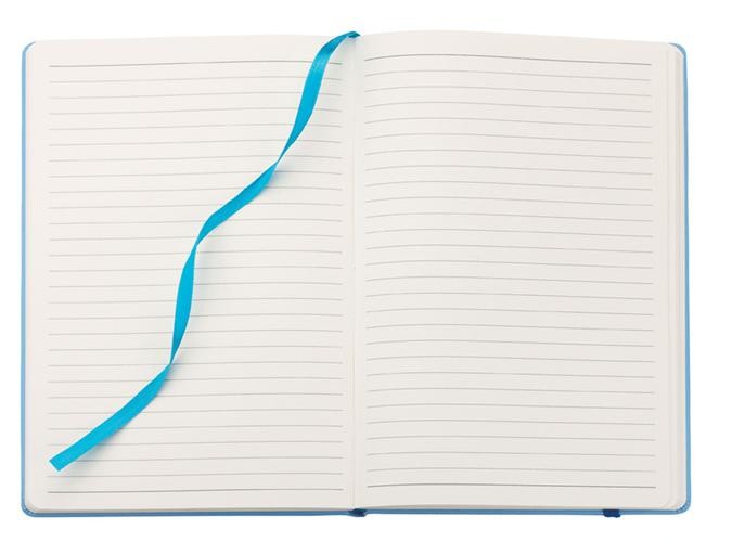 Journal Spector & Co. (Bankers), série Whimsical Bleu