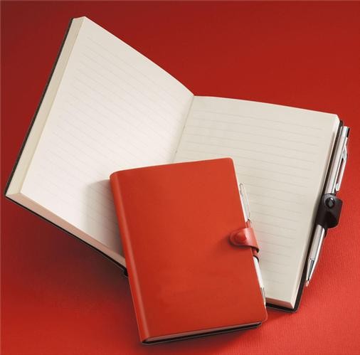 Journal Spector & Co. (Bankers), série Tempo Noir