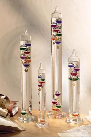 Thermometre Autruche, Galileo Multicolore