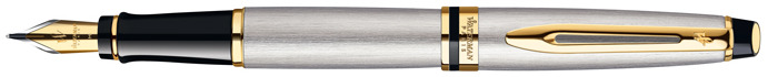 Waterman  Fountain pen, Expert New Generation series Steel Gt