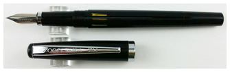 Stylo plume Noodler's Ink, série Standard Flex Noir