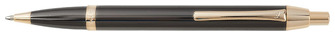 Stylo bille X-Pen, série Nikko Titane GT