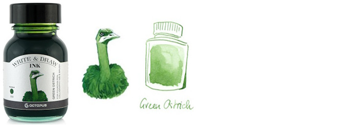 Bouteille d'encre Octopus Fluids, série Write & Draw Ink Encre verte (Ostrich) - 50ml